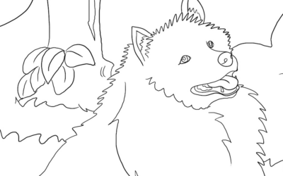 Dog pictures for coloring